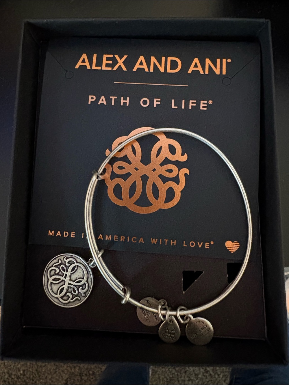 Alex and Ani Silver Path of Life Charm Bangle